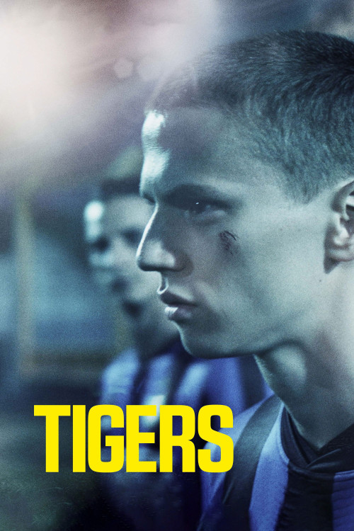 Tigrar (2020) poster