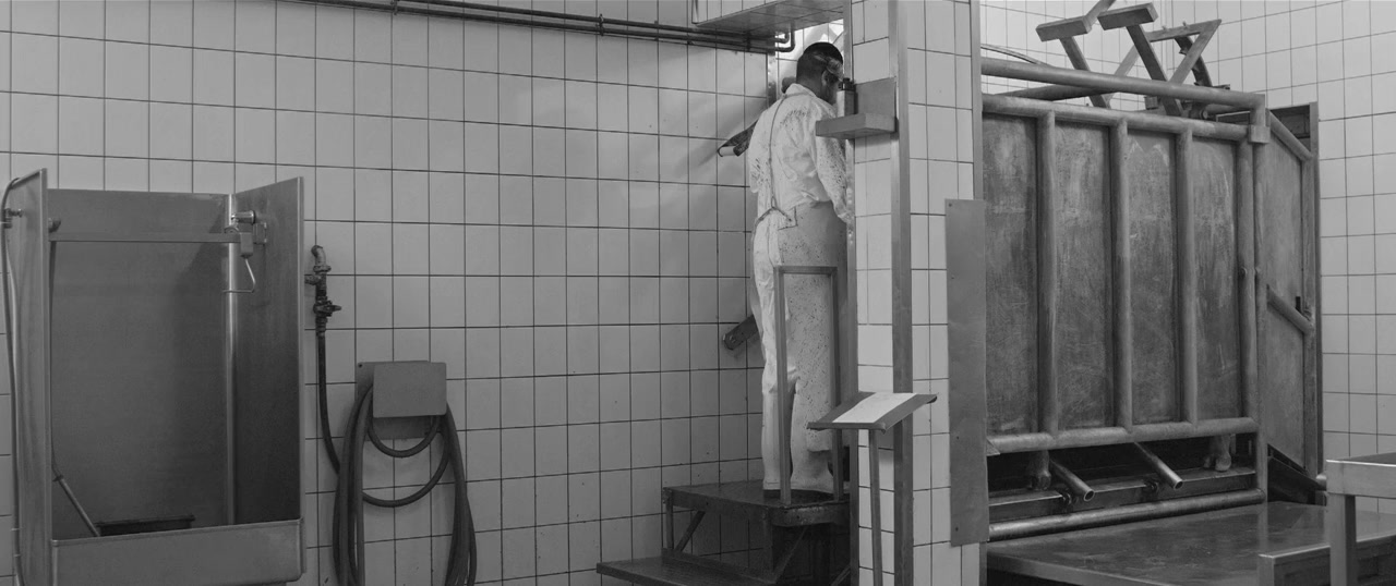 Tikkun screenshot 3