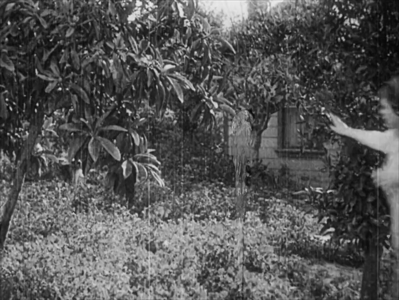 Tillie's Punctured Romance screenshot 1