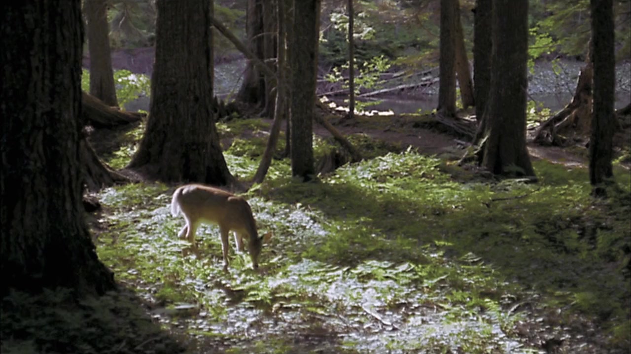 Timber Falls screenshot 2