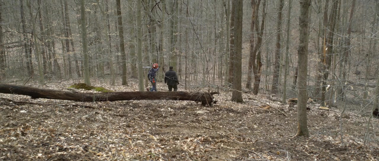 Timbertown screenshot 2