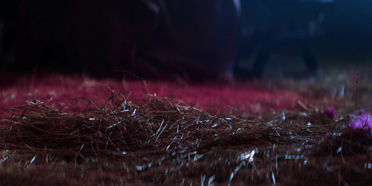Timestalker screenshot 2