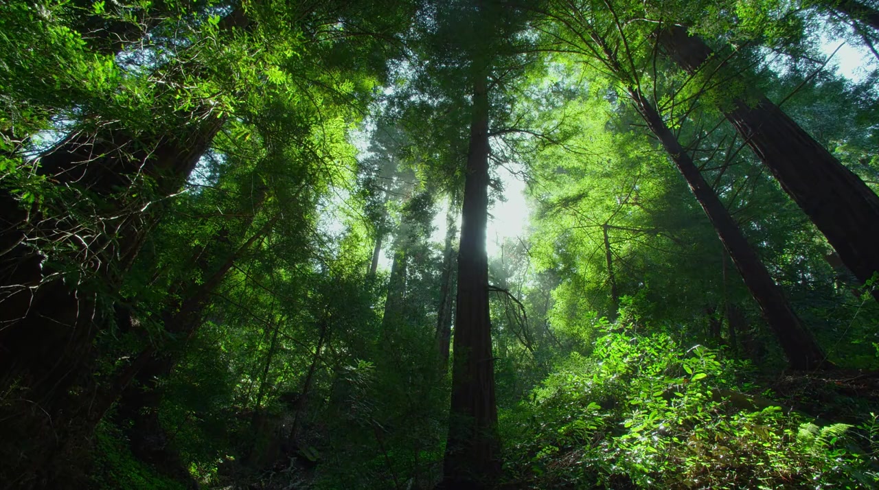 TimeScapes screenshot 1
