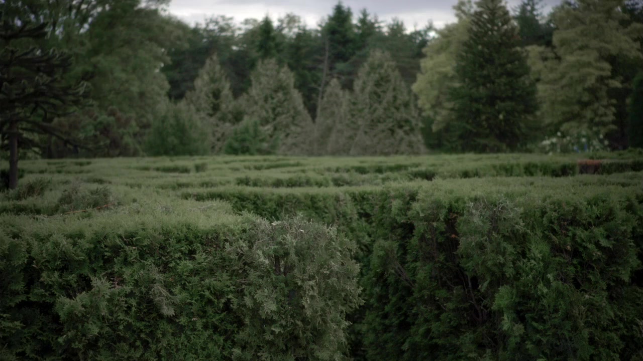 Tin Man screenshot 3
