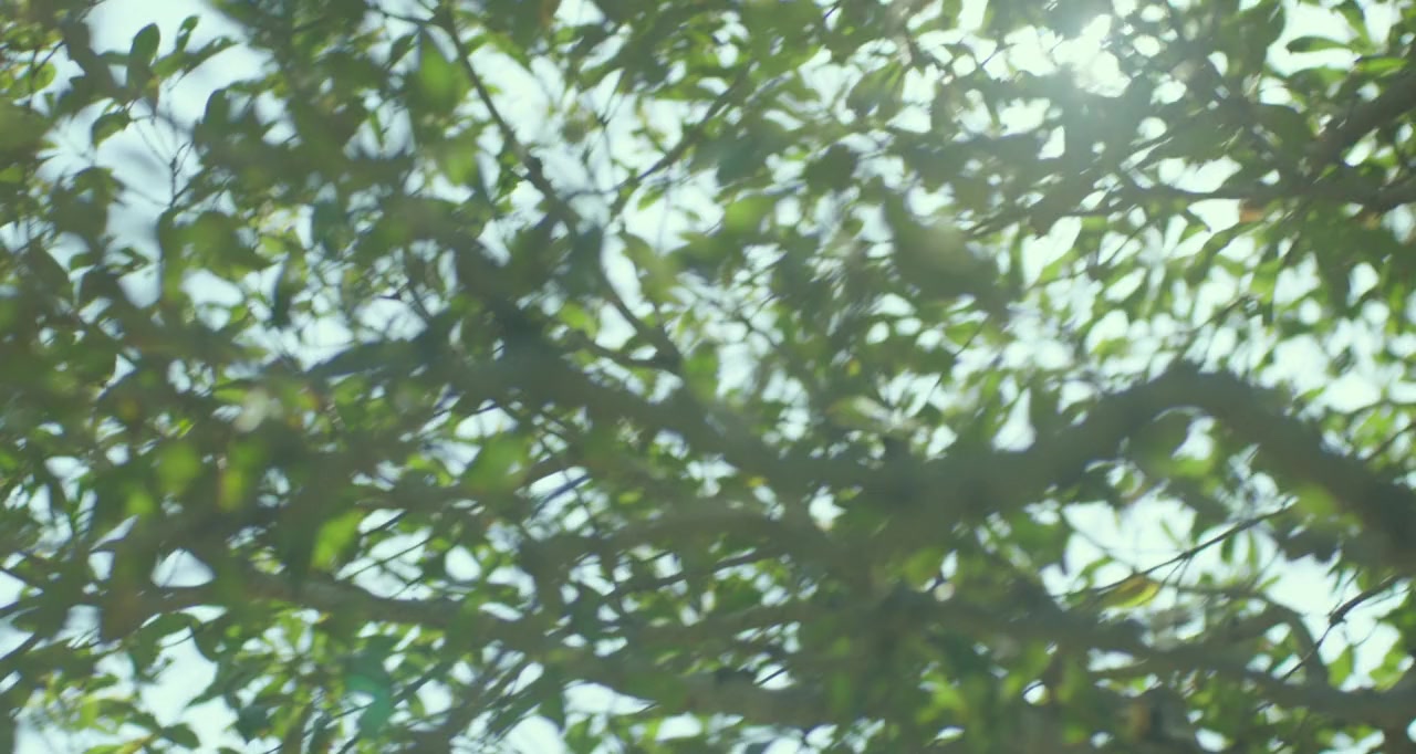 Asa ga kuru screenshot 1