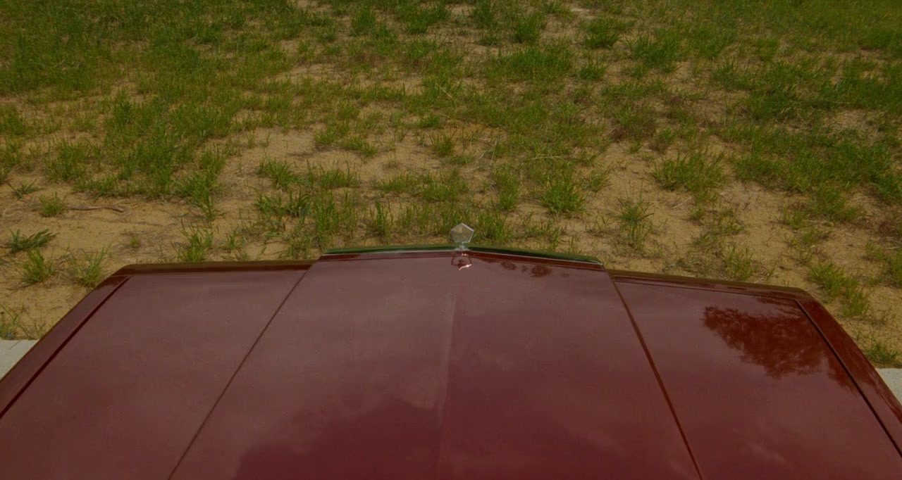 True Stories screenshot 1
