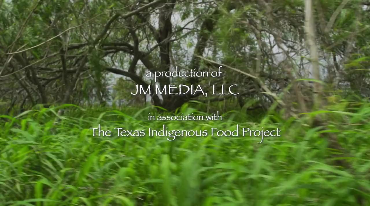 Truly Texas Mexican screenshot 3