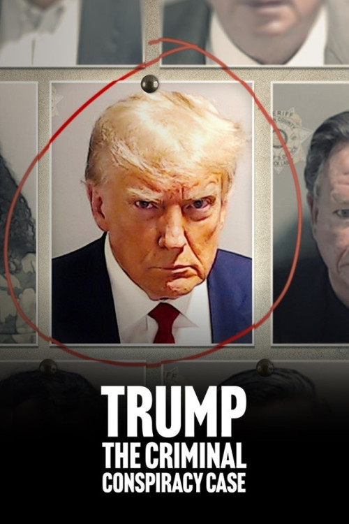 Trump: The Criminal Conspiracy Case (2024) poster