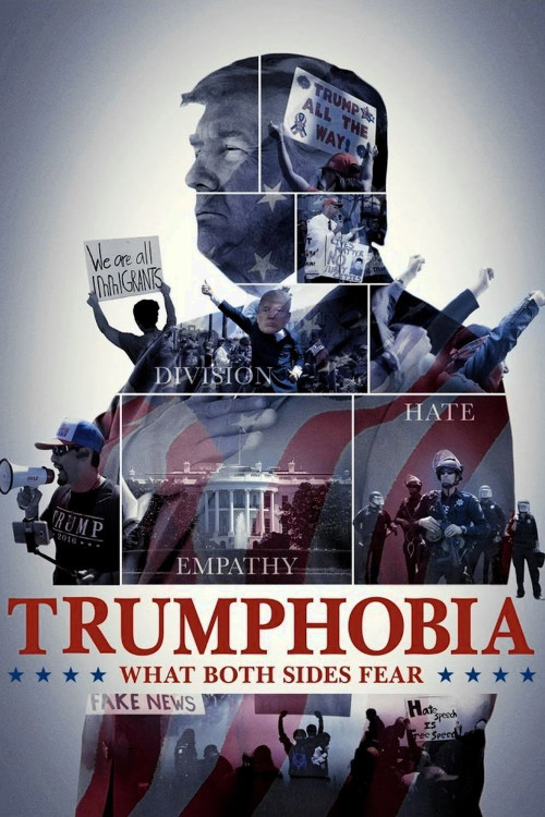 Trumphobia: What Both Sides Fear (2020) poster
