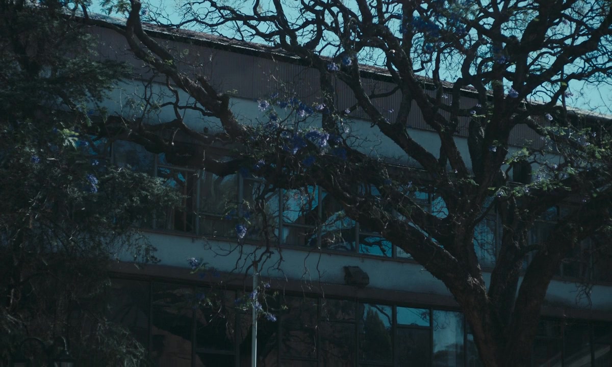Trust screenshot 2