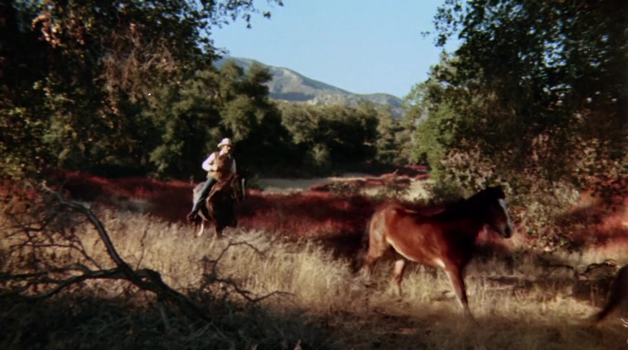 Trackdown screenshot 2