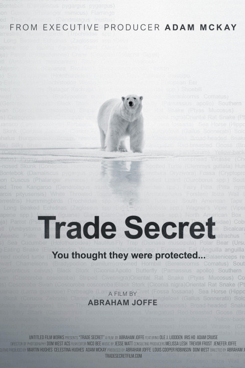 Trade Secret (2025) poster