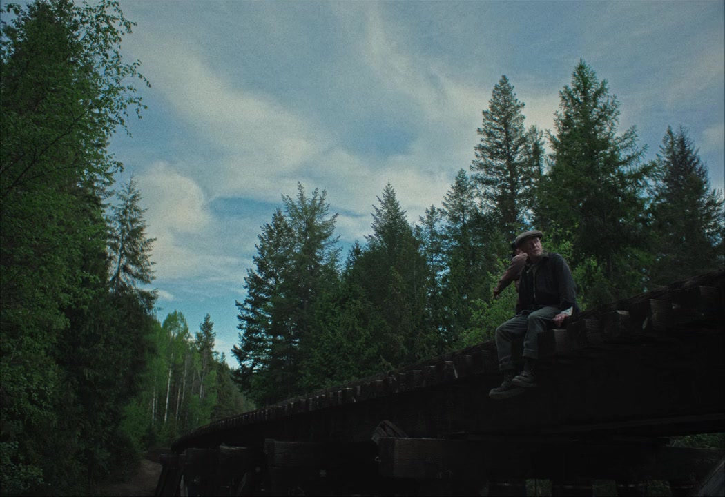 Train Dreams screenshot 3