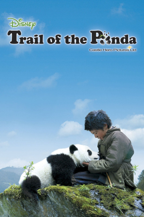 Xiong mao hui jia lu (2009) poster