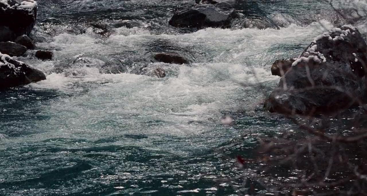 Xiong mao hui jia lu screenshot 2