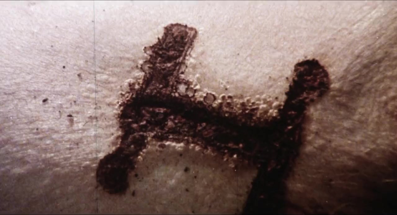 Trailer Trauma screenshot 2