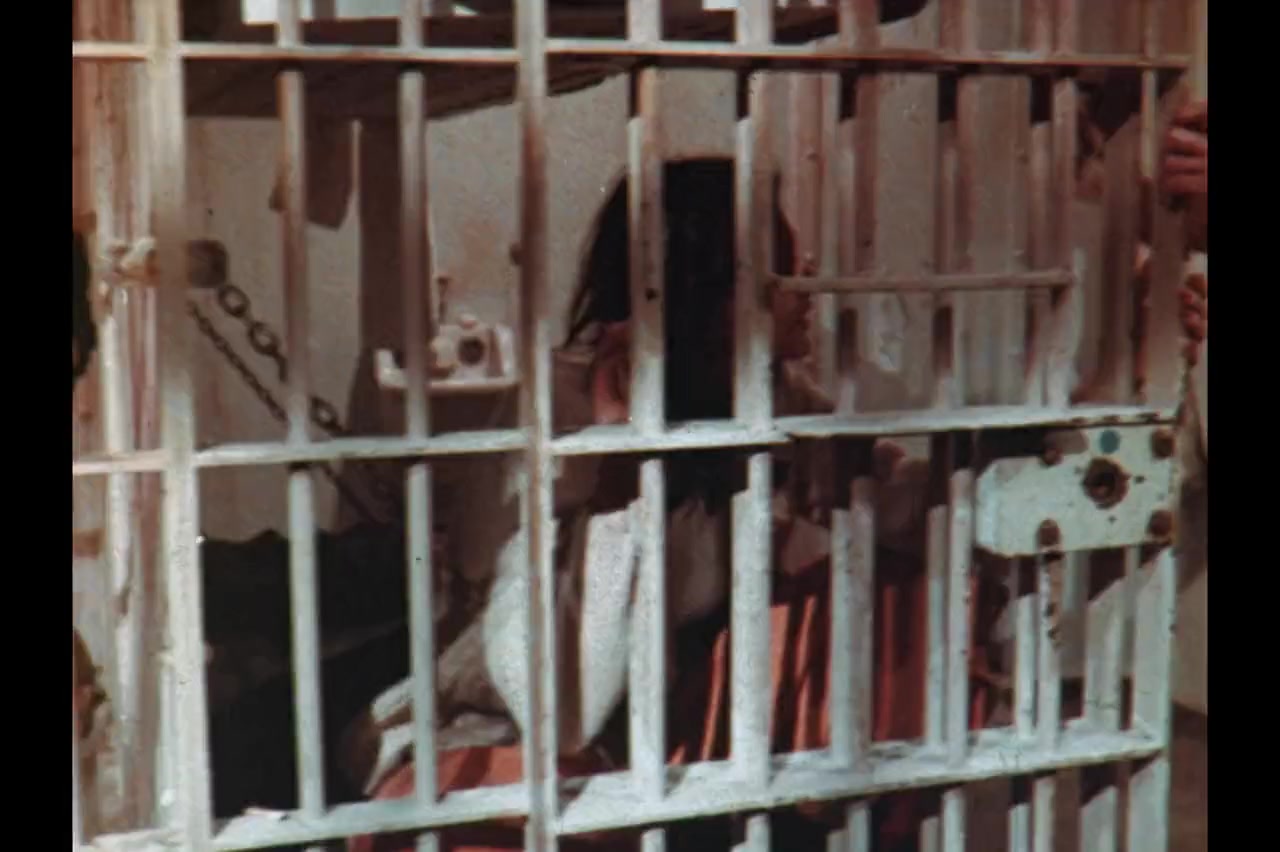 Trailer Trauma Part 4: Television Trauma screenshot 3