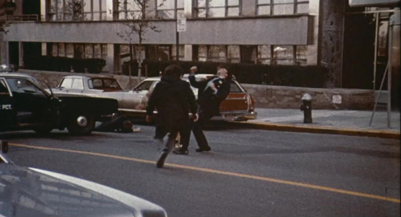 Trailer Trauma V: 70s Action Attack! screenshot 2