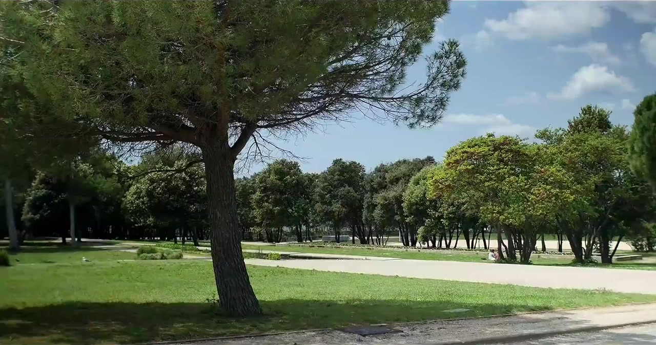 Tranches de Vi screenshot 1