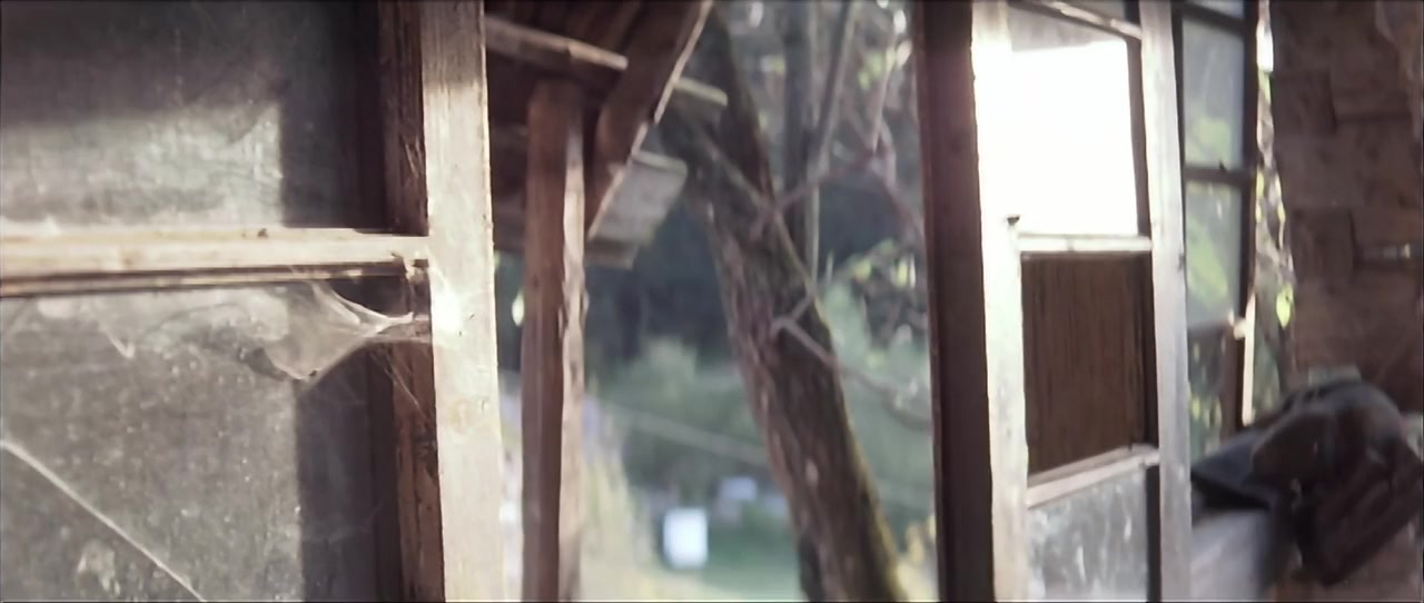 Transylvania screenshot 2