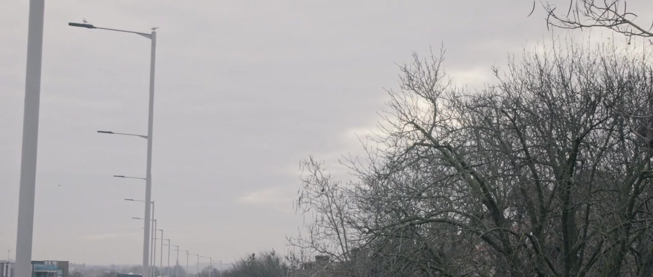 Transference: A Love Story screenshot 1