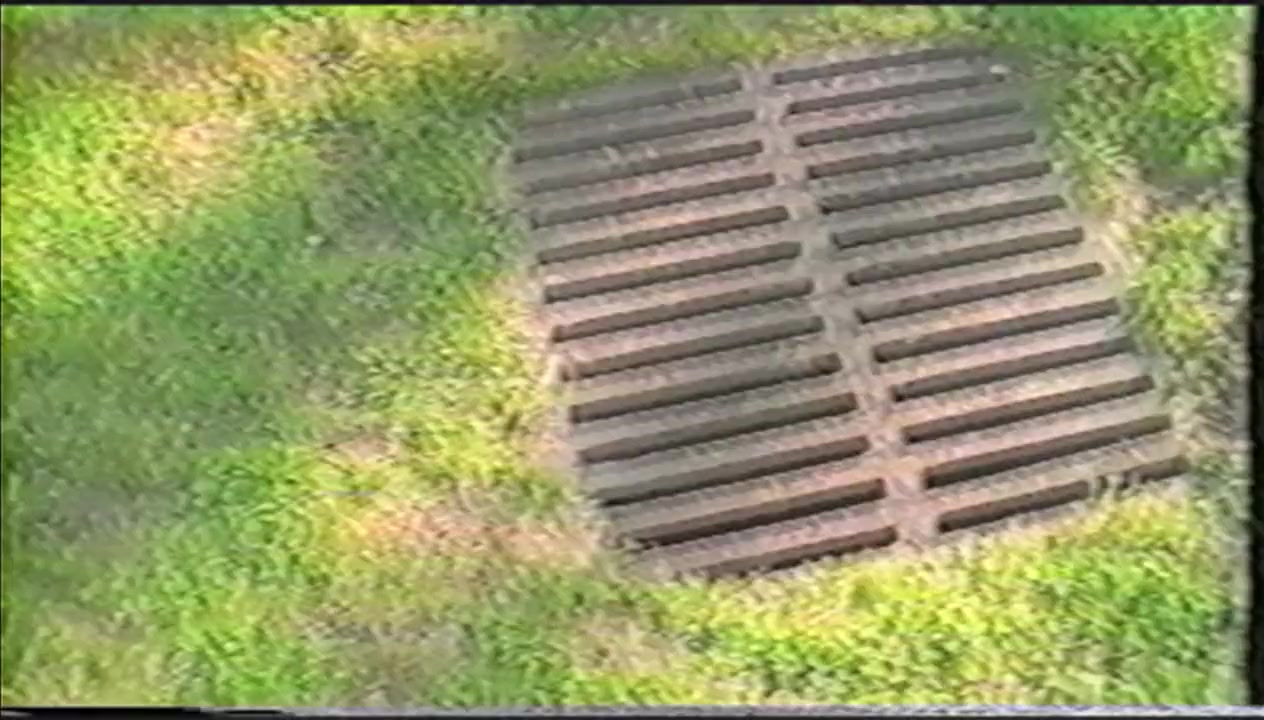 Trash Humpers screenshot 1