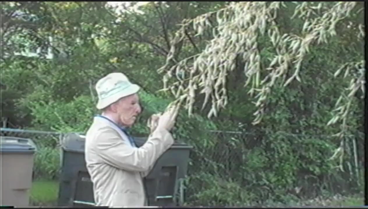 Trash Humpers screenshot 2