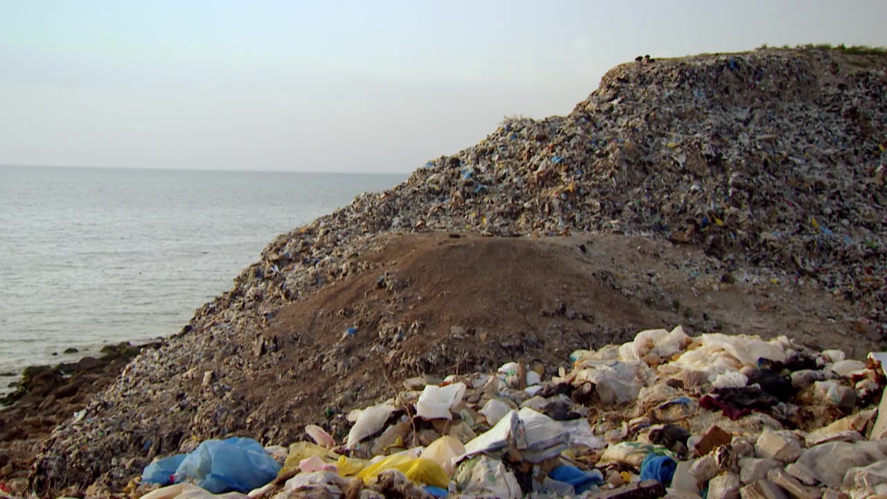 Trashed screenshot 3
