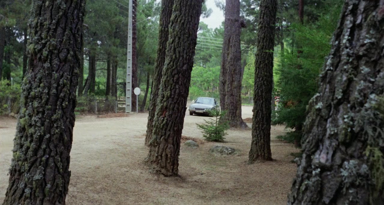 Violación fatal screenshot 3