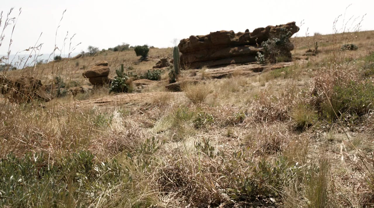 Tremors 5: Bloodlines screenshot 1