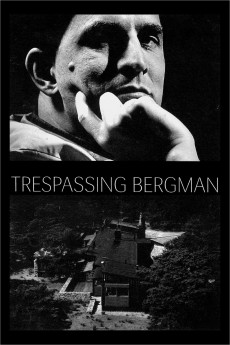 Bergmans video (2013) poster