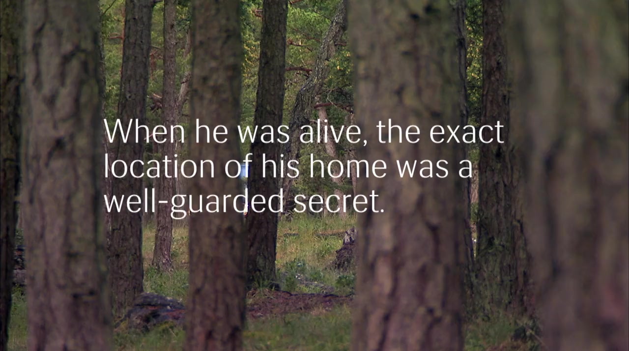 Bergmans video screenshot 2