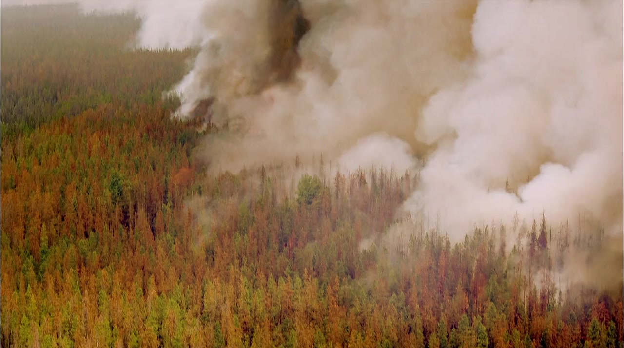 Trial by Fire screenshot 2