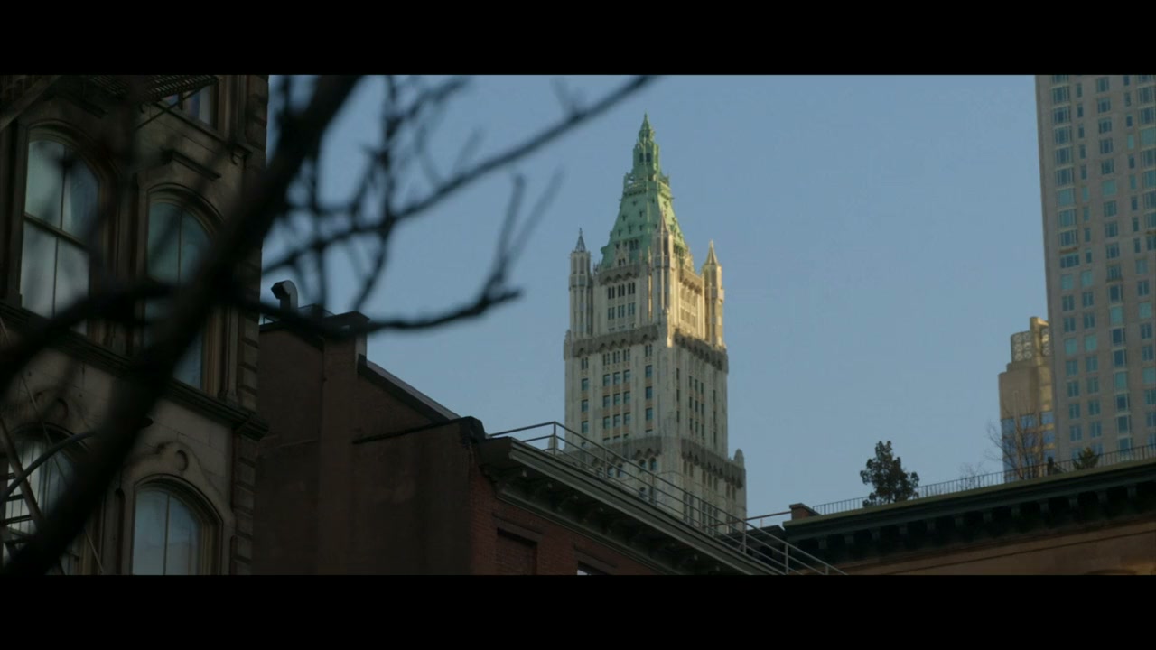Tribeca 25 screenshot 3