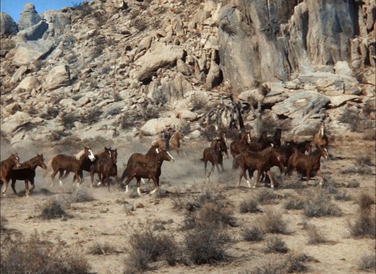 Trigger, Jr. screenshot 1