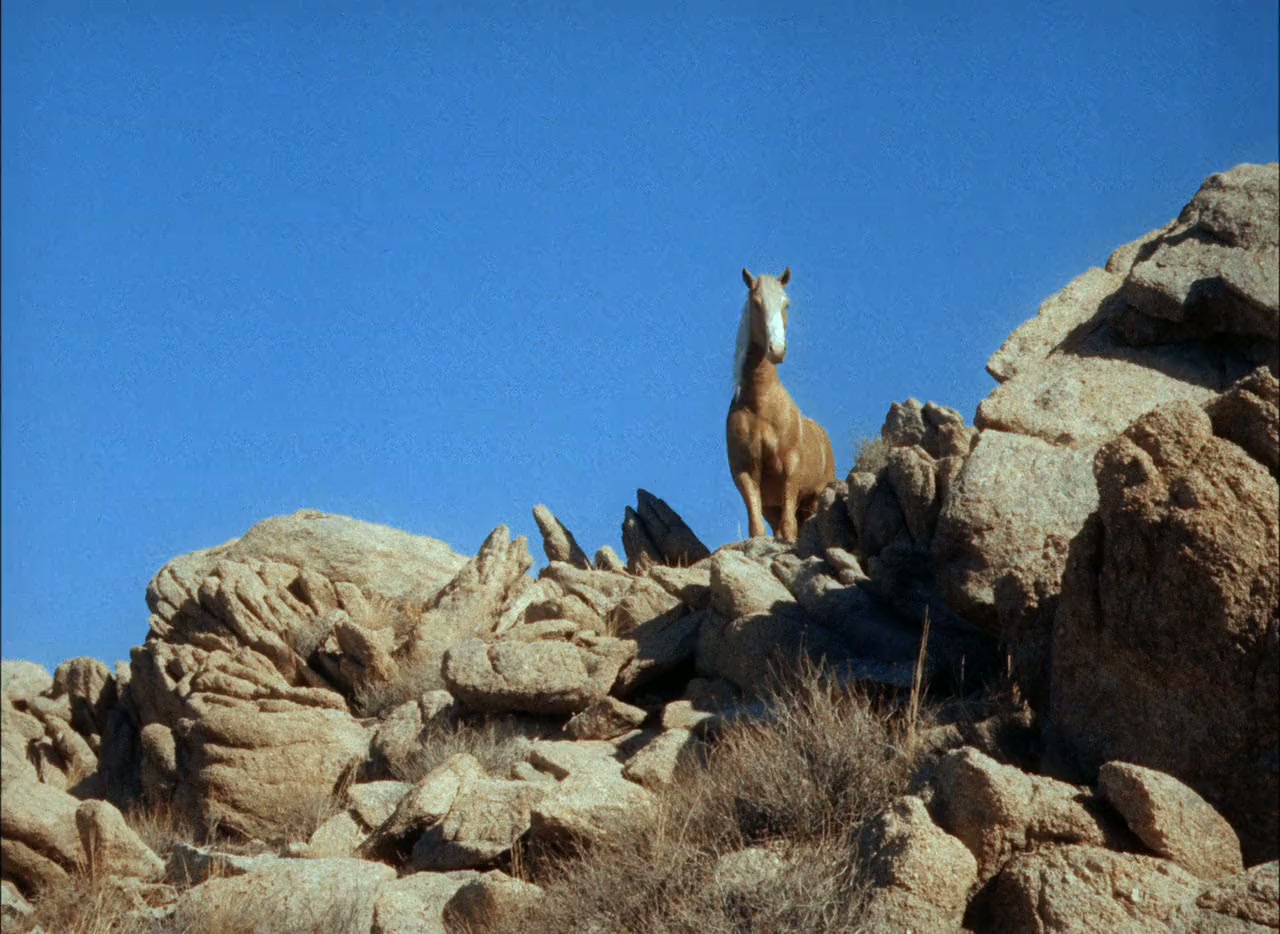 Trigger, Jr. screenshot 2
