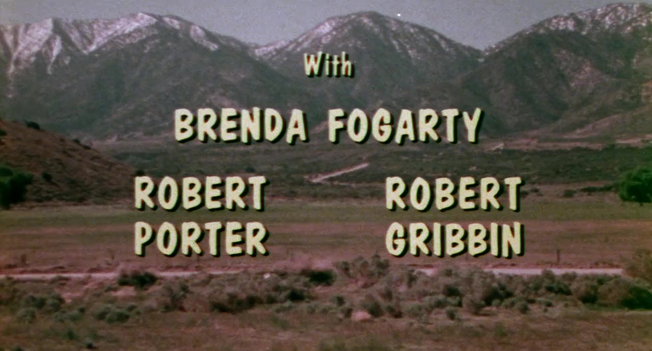 Trip with the Teacher screenshot 3