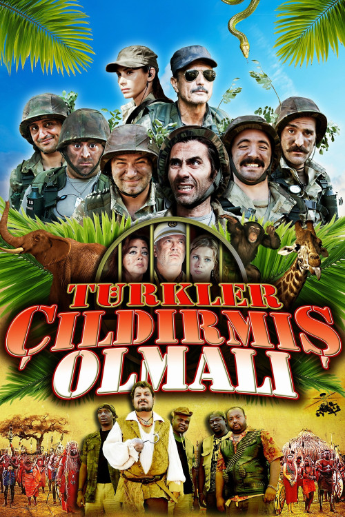 Türkler Çildirmis Olmali (2009) poster