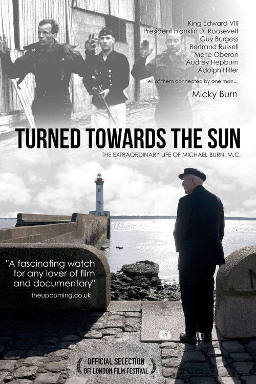 Turned Towards the Sun (2012) poster