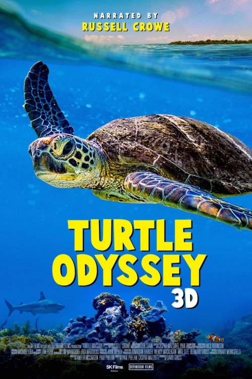 Turtle Odyssey (2018) poster
