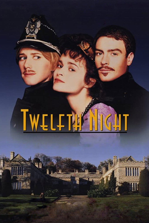 Twelfth Night or What You Will (1996) poster
