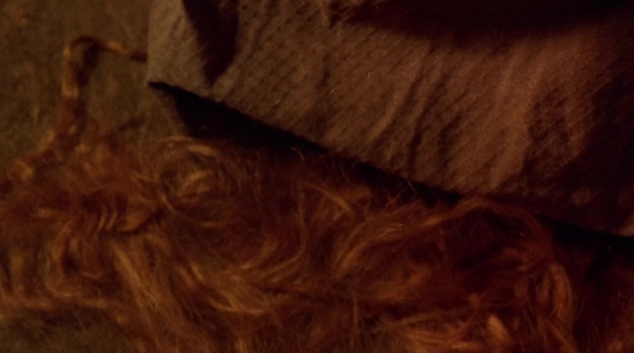 Twelfth Night or What You Will screenshot 3