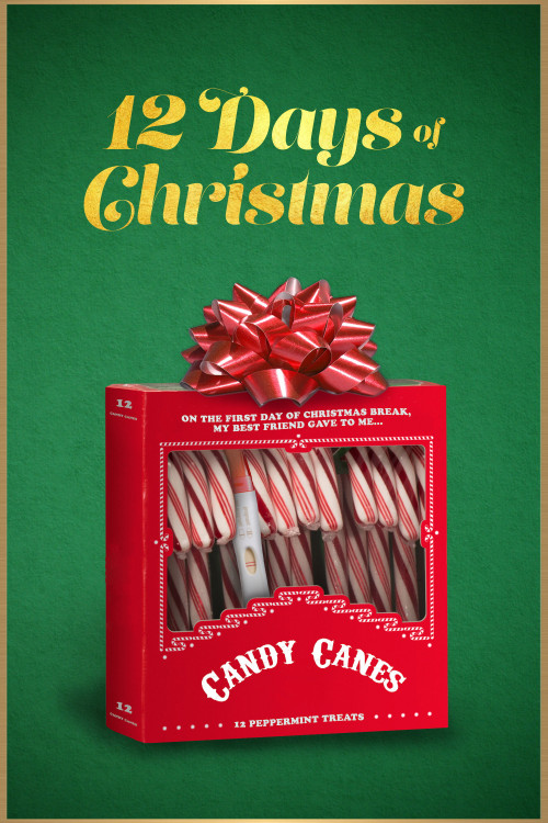 Twelve Days of Christmas (2020) poster