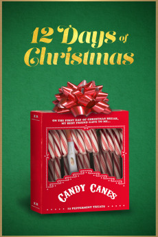 Twelve Days of Christmas (2020) poster