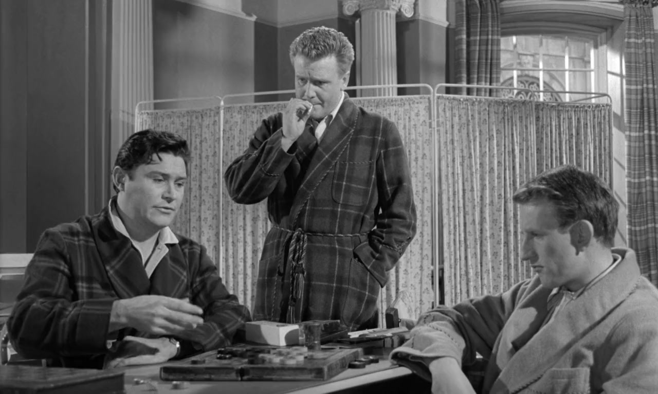 Twice Round the Daffodils screenshot 1