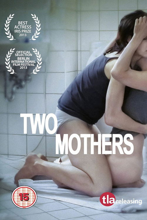 Zwei Mütter (2013) poster