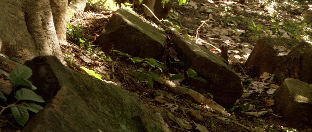 Deux frères screenshot 1