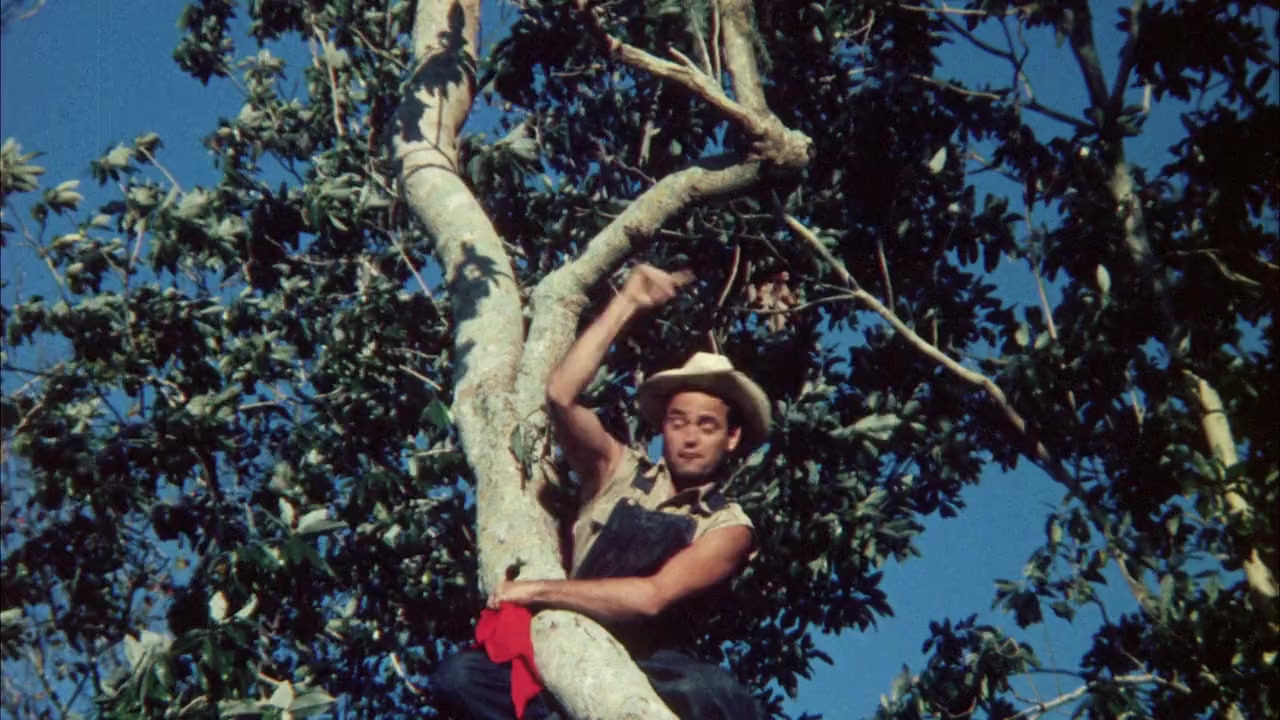Two Thousand Maniacs! screenshot 1
