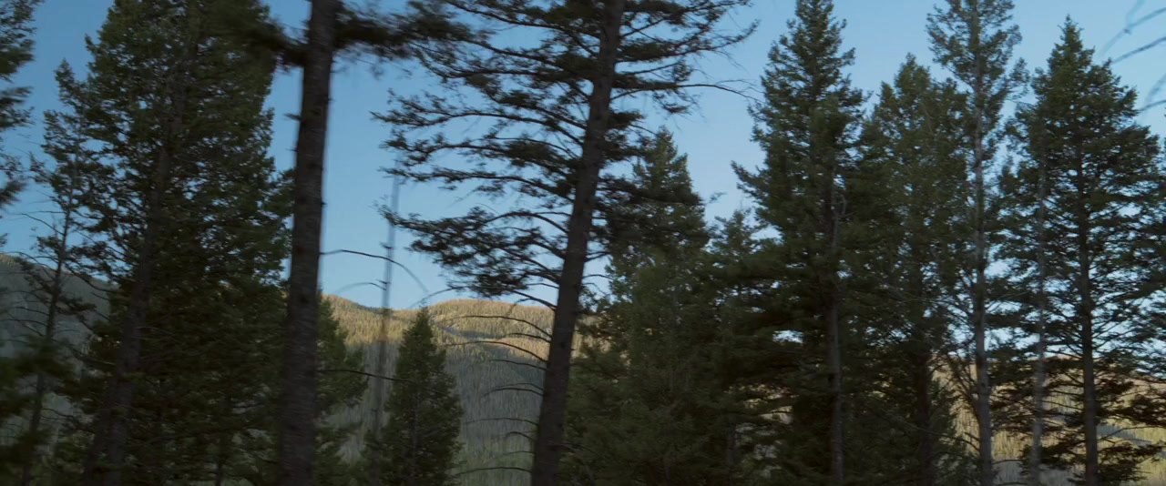 Two Yellow Lines screenshot 1