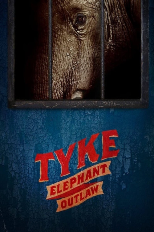 Tyke: Elephant Outlaw (2015) poster